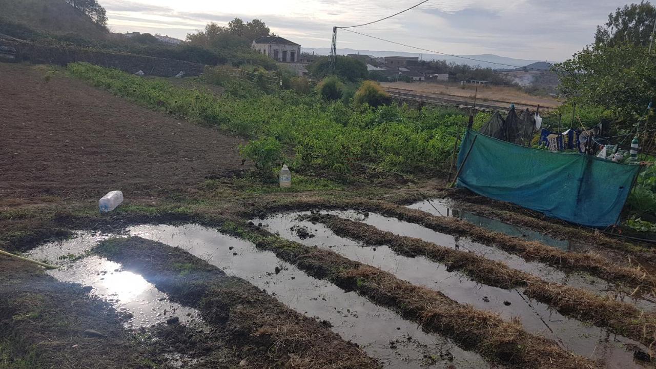El Sitio De Su Recreo Vila Jerez De Los Caballeros Exterior foto